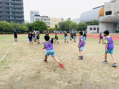 S__24199233.jpg