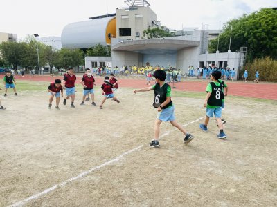 S__24199318.jpg