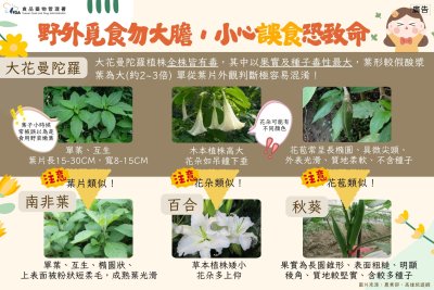 不採野生動植物.jpg